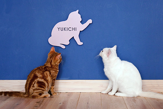 もちろん犬だけでなく、猫など他のペットでもデザイン可能。複数組み合わせて、華やかな家の外観に仕上げることもできる