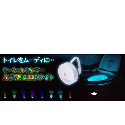上海問屋　家のトイレをムーディに演出