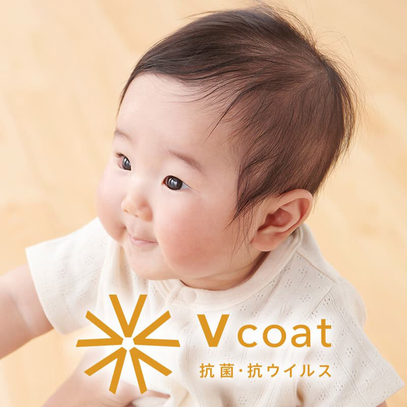 プレイリーホームズ　Vコートシリーズ　新カタログ