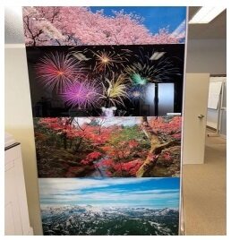  理想化研　画像例