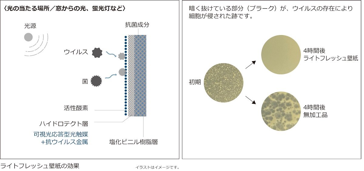 サンゲツ　「ライトフレッシュ壁紙」