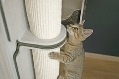 LIXIL、「猫壁（にゃんぺき）」の新パーツ