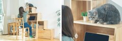 I＆I、猫と人とのふれあい家具