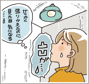 リフォームセールスマガジン（リフォマガ）2018年1月号　張り替えたのに見た目が気になる