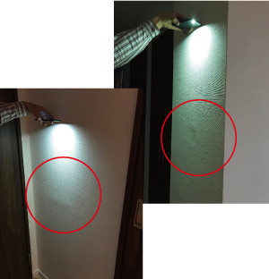 照明を当てると一目瞭然