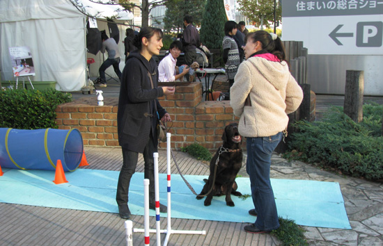会場では撮影会やしつけ教室も