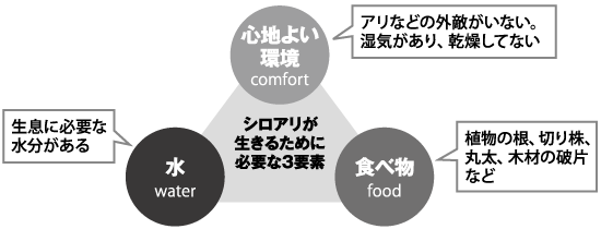 【図2】シロアリが生きるための3要素
