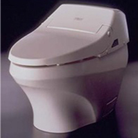 1190_04toto1.jpg