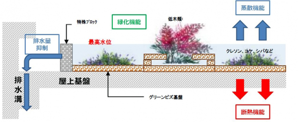 トーケン　「グリーンビズダム」のイメージ図