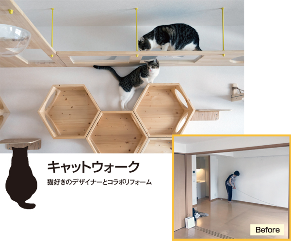 たすかけ　キャットウォーク