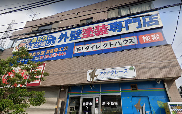ダイレクトハウス　本社の観外もブランディングで、コーポレートカラーを統一している