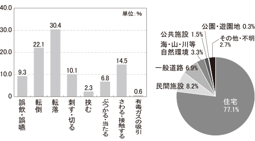 家庭内事故の内容（65歳以上）・発生場所