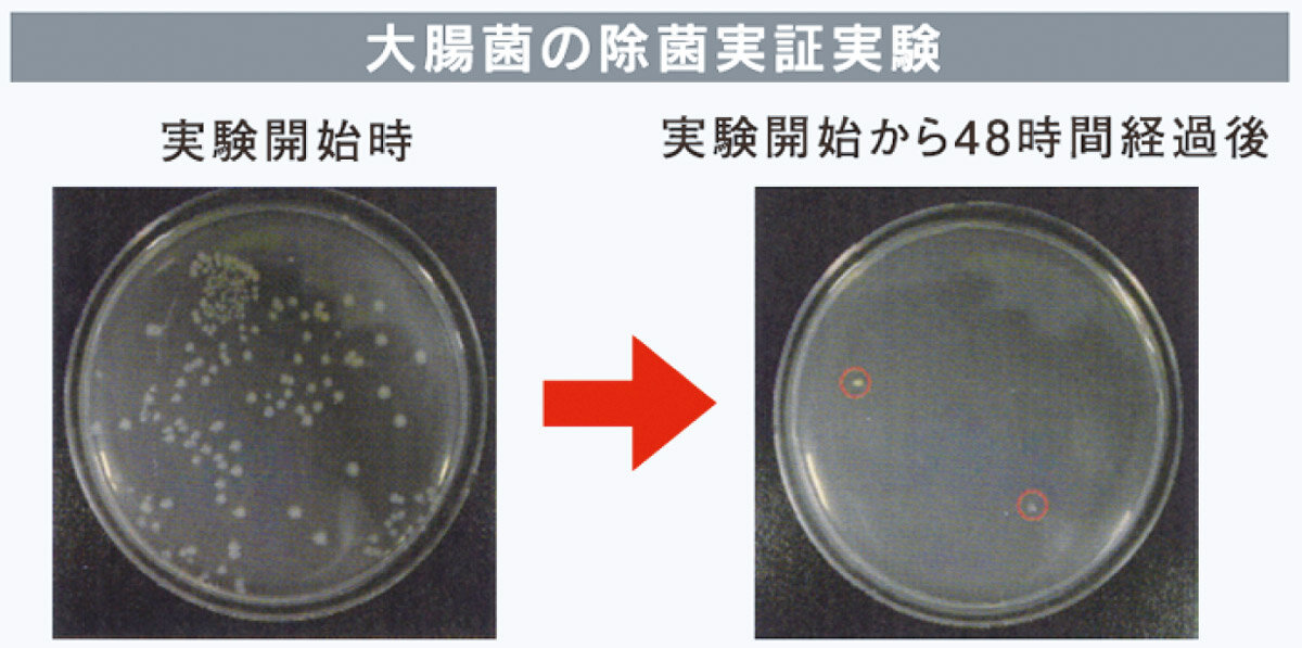 キムラ　試験容器内で4時間稼働させ48時間後の菌生存率を測定した