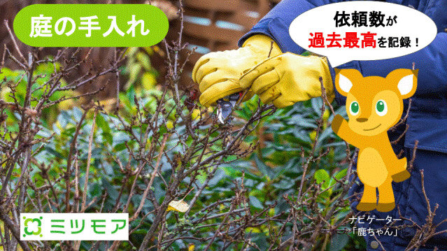 ミツモア　5月は庭関連の需要が増加