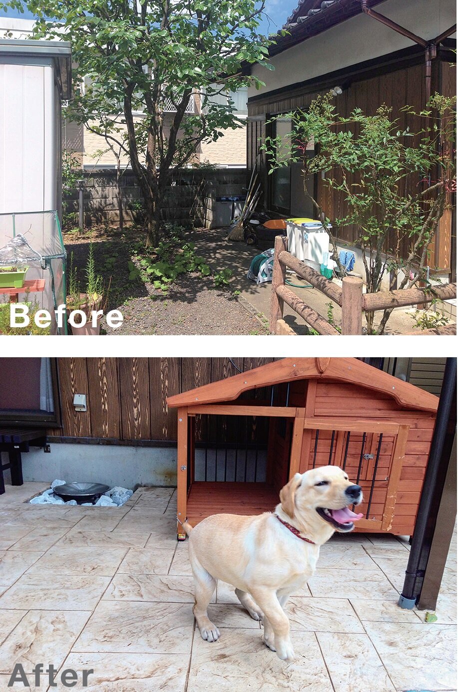 庭雅　犬用の庭の施工事例