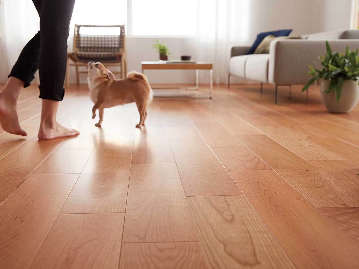 朝日ウッドテック　Live Natural for Dog