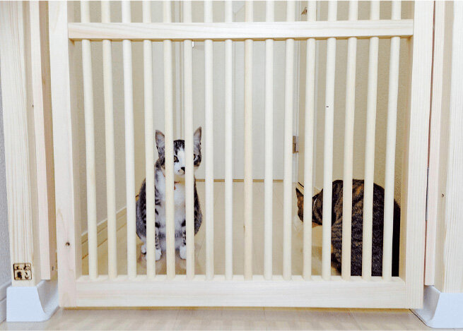 ねこ工房　にゃんがーど
