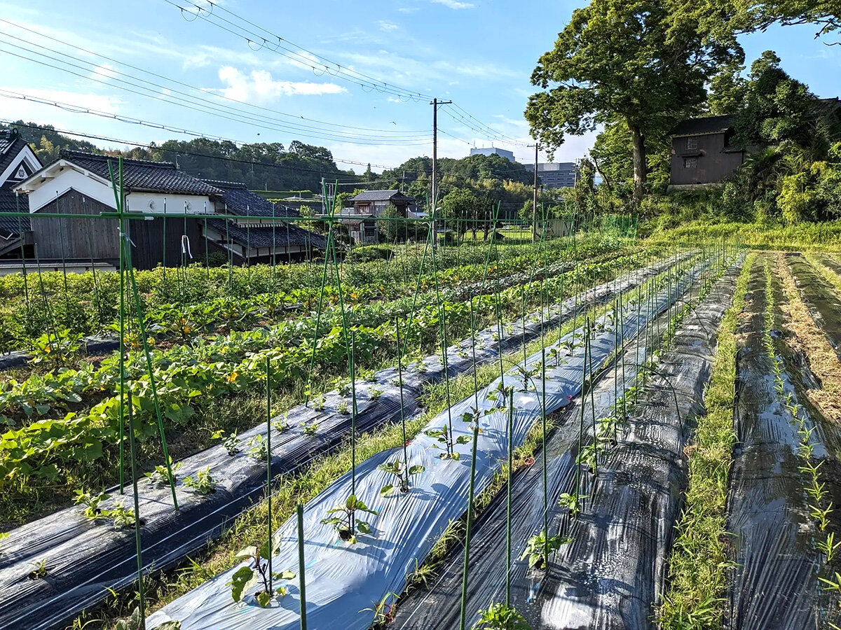 サードライフ　サードライフファーム
