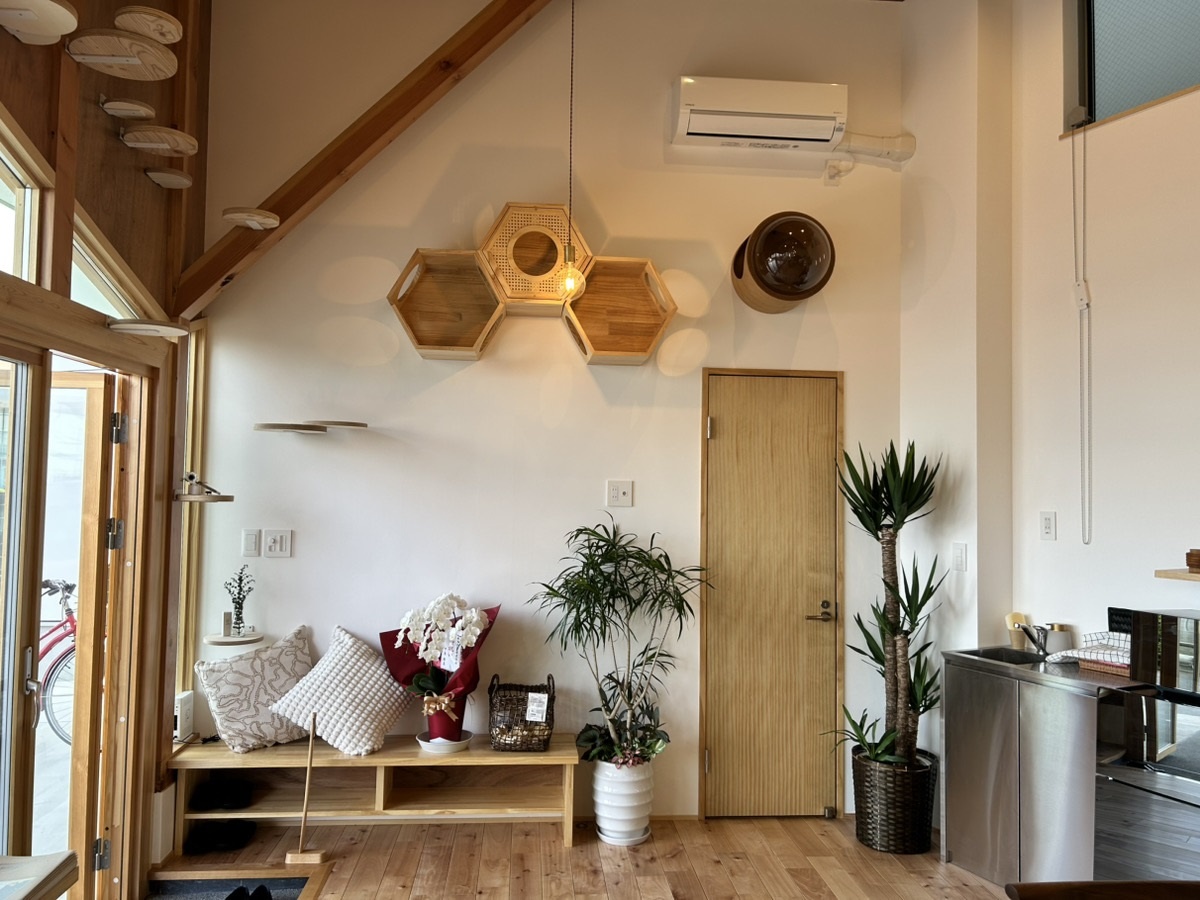 櫻建設、社屋兼モデルハウスを開設、キャットステップを設置