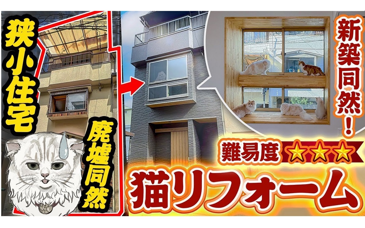 自社ホームぺージは2年前にリニューアル。猫のイラストを豊富に盛り込んだ