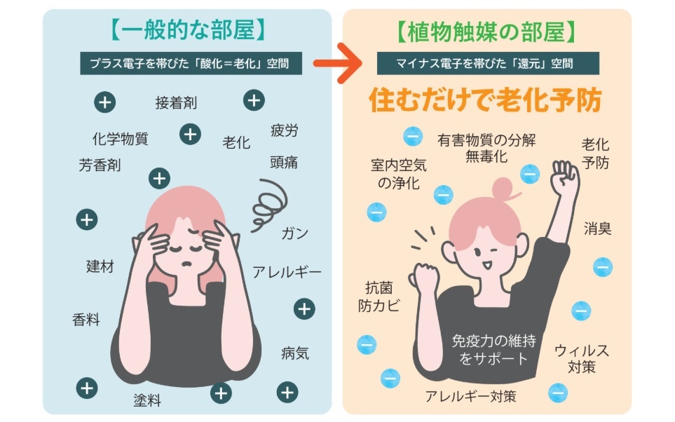 空気をきれいにし、生活の質を上げたい会社から支持されている。植物触媒で建材や接着剤の匂いを和らげる