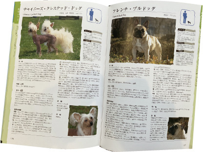 勉強会では獣医師解説のもと図鑑で犬種の生態を学ぶことも