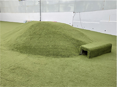 庭に人工芝で覆った小山を設けた