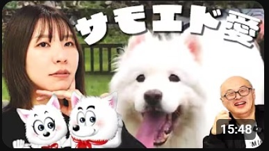 YouTube動画「人生を変えたサモエドと、冬場の寒い洗面所の話」。雑談形式で藤田社長の人柄が伝わる内容