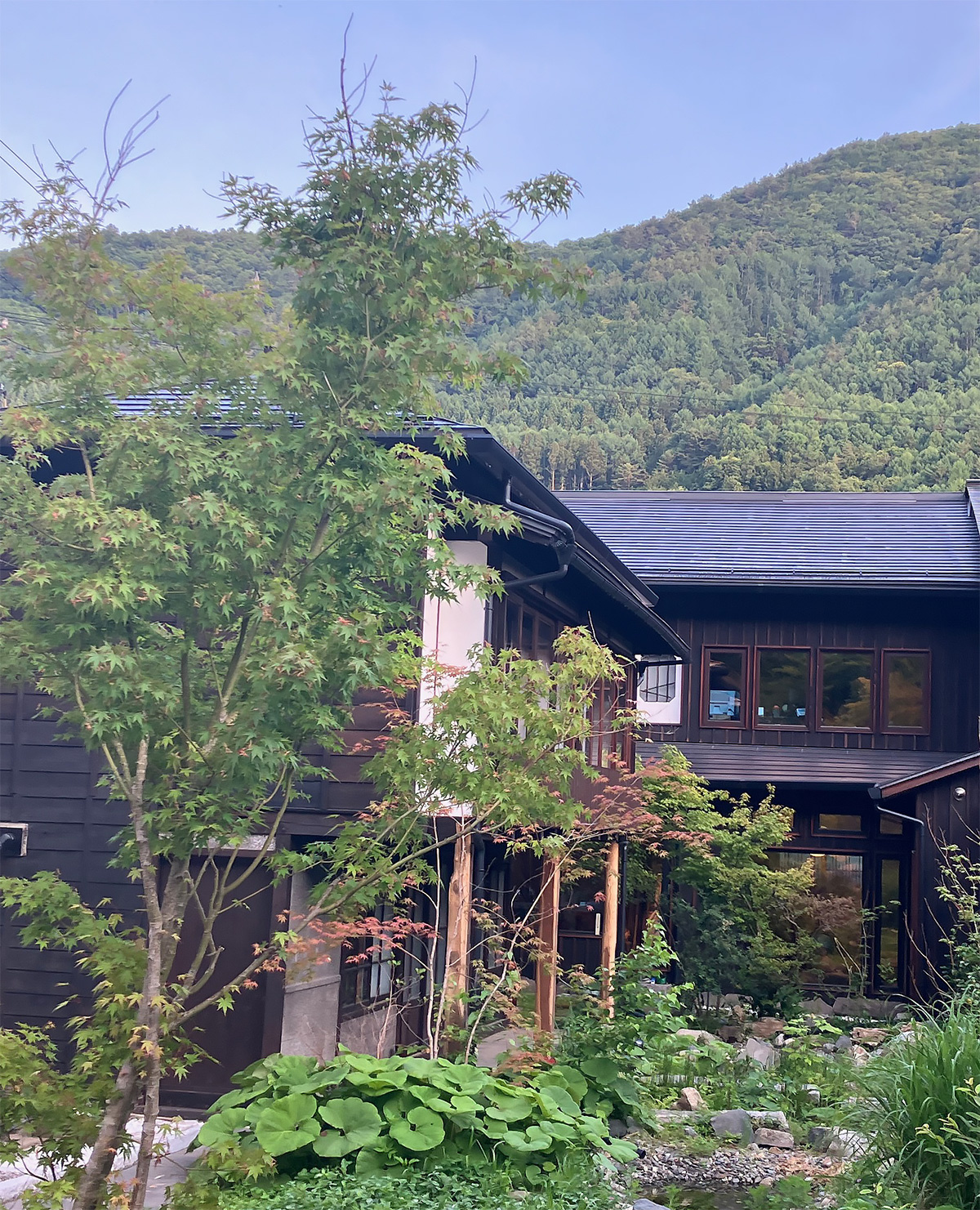 緑豊かな池のある庭が宅内浸透の役目も果たす