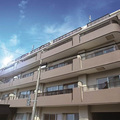 一棟リノベブランド本格展開　住友林業