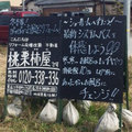 桃栗柿屋、施主の悩みをチラシのキャッチコピーに