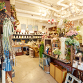 夏水組、部屋を飾るデコレーションの専門店『Decor Tokyo』