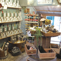 夏水組、北九州市に新店舗オープン