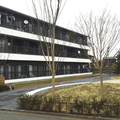 ブルースタジオの最新プロジェクト　賃貸住宅に私設公園を設置