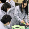塗装の技術や知識を学ぶ「東京都塗装高等技術専門校」、入校者33人中7人が女性