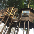 ヤナ・コーポレーション、私設公園でリフォーム倍増