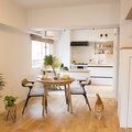 マイプレイス、猫と共生するリノベ発売