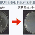 キムラ、後付け可能な除菌脱臭装置