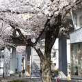 既存事業だけでは生き残れない！　工場、オフィス、商店街...法人向けリフォーム進出で増収企業が増加