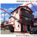 モデルハウス活用し平均単価100万円増！ふじ美塗装、フッ素塗料や「ガイナ」の提案強化