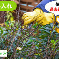 ミツモア、「庭の手入れ」依頼が過去最高