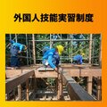 外国人技能実習制度、リフォーム業界の実態