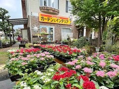 フィディア、カルチャー教室月120回開催　リフォーム売上8億円