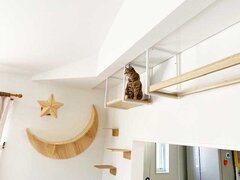 セラフ榎本、動物の専門家が改修を提案、動画とブログが呼び水に