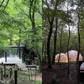 トーヨーキッチンスタイル、箱根の森にドーム型ショールームオープン