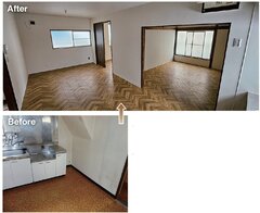 ハッピープランニング、保護猫と居住可能な賃貸の貸し出しを開始