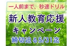 【最大36％OFF】新人さんの