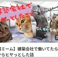 令和コーポレーション、動画で現場あるあるを発信　猫や漫画で社員の日常を伝える