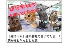 令和コーポレーション、動画で現場あるあるを発信　猫や漫画で社員の日常を伝える