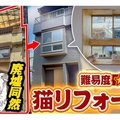 「猫と共生」テーマに年商5億円、築43年物件の猫リノベ2700万円に